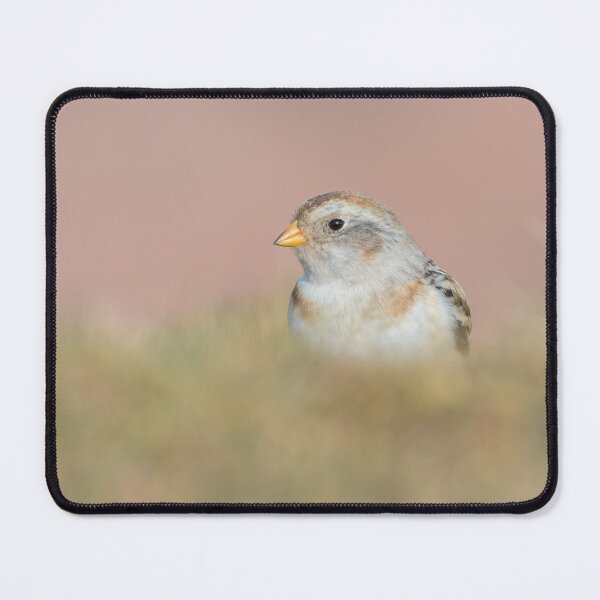 Item preview, Snow Bunting designed and sold by LaurenTucker.