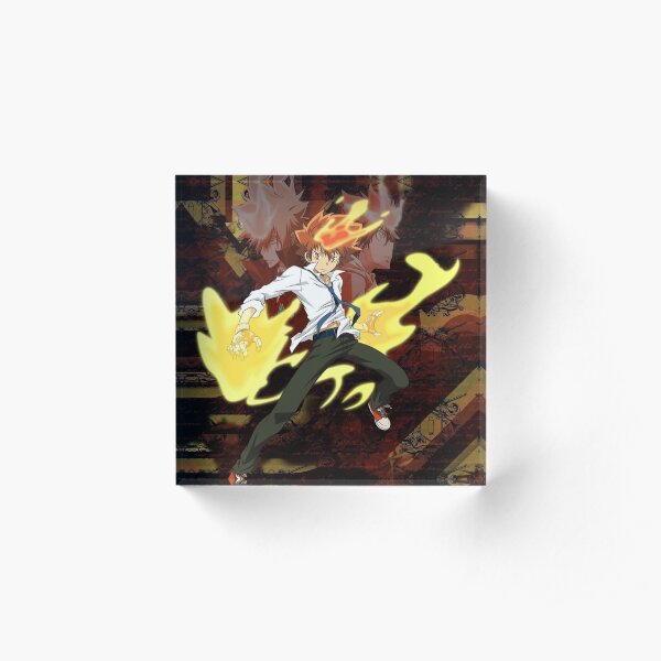 Katekyo hitman reborn Acrylic Block