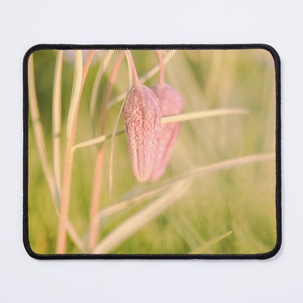 Item preview, Looking - A View F2.8 Broken Glass designed and sold by Carl Gaynor.