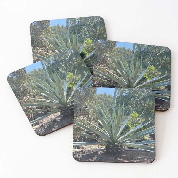 Item preview, Agave  designed and sold by BOBBYBABE.
