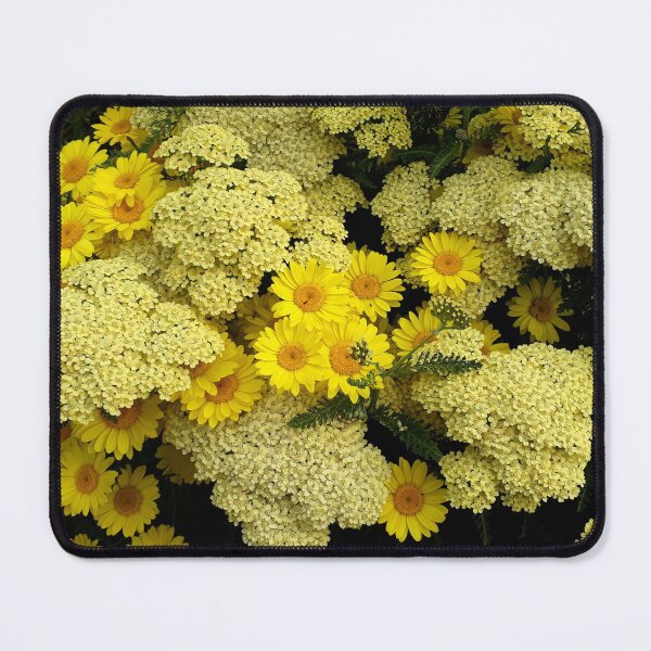 Item preview, Create Your Own Sunshine designed and sold by coffeebean.