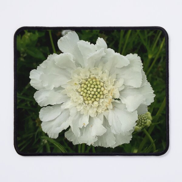 Item preview, Pincushion designed and sold by coffeebean.