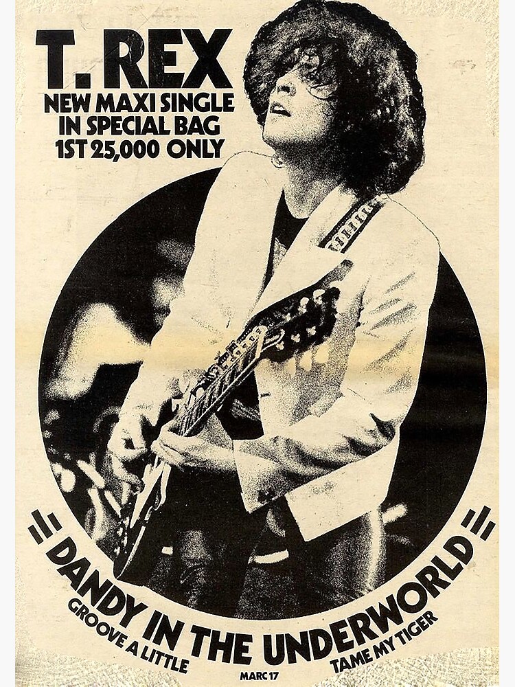 Discover T.Rex Marc Bolan Premium Matte Vertical Poster