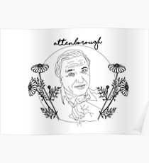 David Attenborough Illustration Poster
