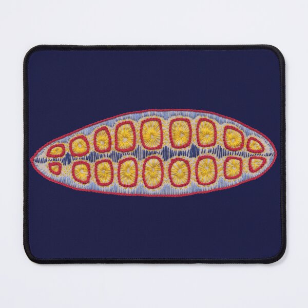 Item preview, Diatom nr1 designed and sold by VrijFormaat.