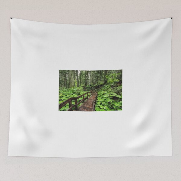 Item preview, Giant Cedars Boardwalk Trail designed and sold by Charles Kosina.