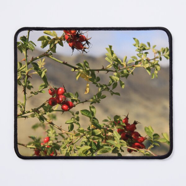 Item preview, Rosehips designed and sold by coffeebean.