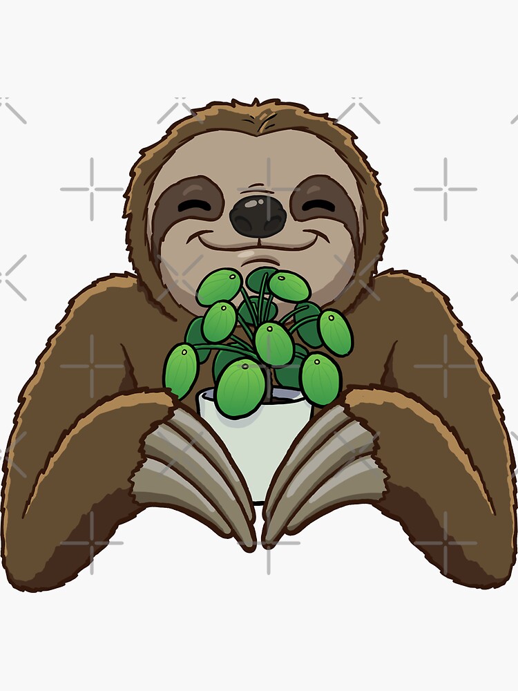"Sloth Chinese money plant" Sticker by jonmlam | Redbubble
