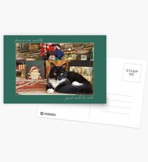 peace on earth....good will to cats Postcards