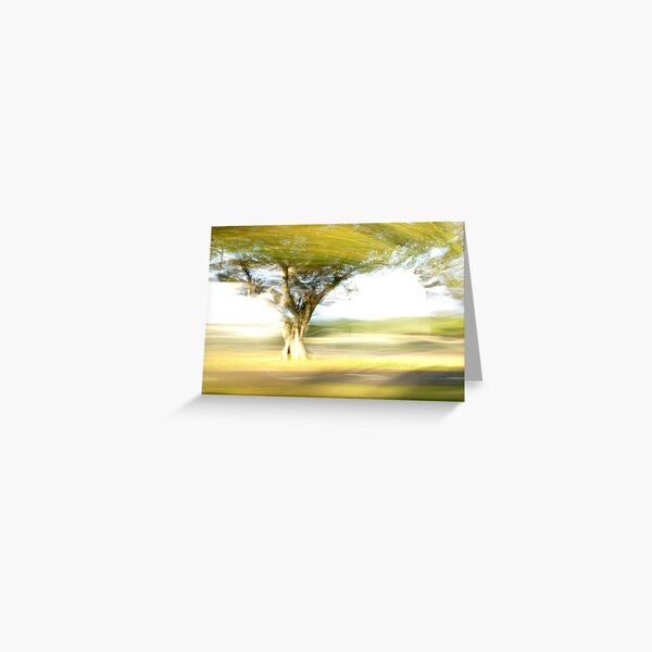 Tree - Lightpainting Greeting Card