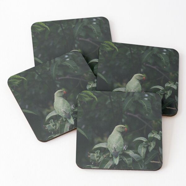 Item preview, Baby Parrot designed and sold by kasthu.
