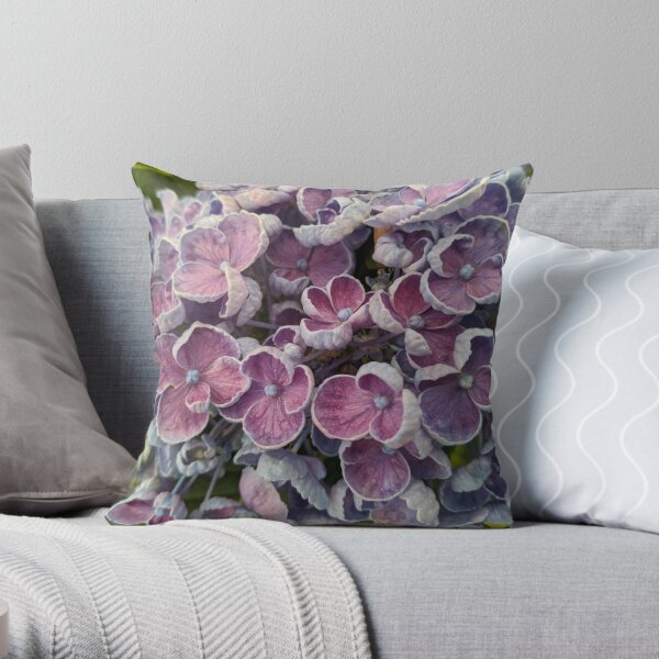 https://ih1.redbubble.net/image.3412603041.0596/throwpillow,small,600x-bg,f8f8f8-c,0,120,600,600.u1.jpg