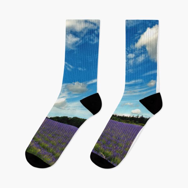 Item preview, Lavender Field Summer Flowers Cotswolds England designed and sold by AndyEvansPhotos.