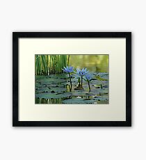 Tranquility Framed Print