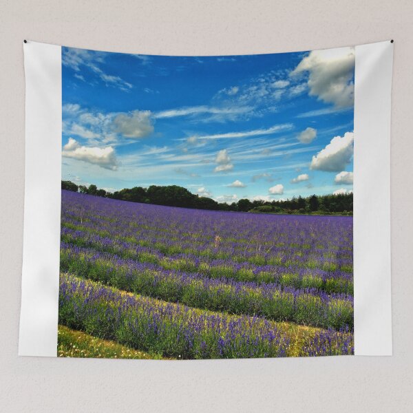 Item preview, Lavender Field Summer Flowers Cotswolds England designed and sold by AndyEvansPhotos.