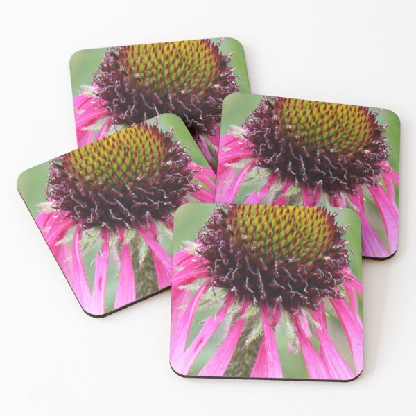 Item preview, Echinacea designed and sold by Liesl Kustermann.