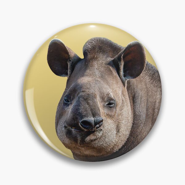 Item preview, Brazilian Tapir designed and sold by Dalyndigital Photography.