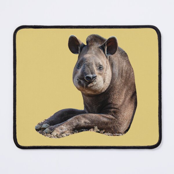 Item preview, Brazilian Tapir designed and sold by Dalyndigital Photography.