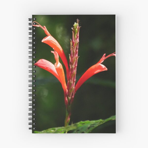 Item preview, Cloud Forest Bloom designed and sold by Tara  Baxendale.