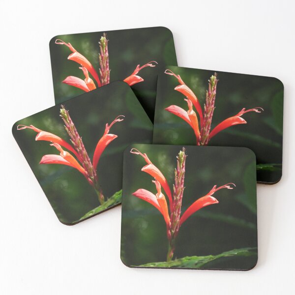 Item preview, Cloud Forest Bloom designed and sold by Tara  Baxendale.