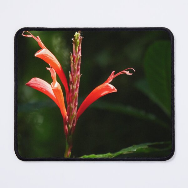 Item preview, Cloud Forest Bloom designed and sold by Tara  Baxendale.