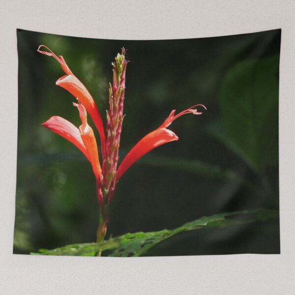 Item preview, Cloud Forest Bloom designed and sold by Tara  Baxendale.