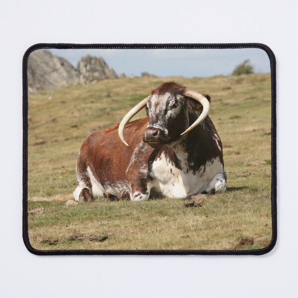 Item preview, english longhorn cattle designed and sold by markspics.