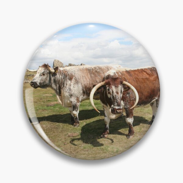 Item preview, english longhorn cattle designed and sold by markspics.
