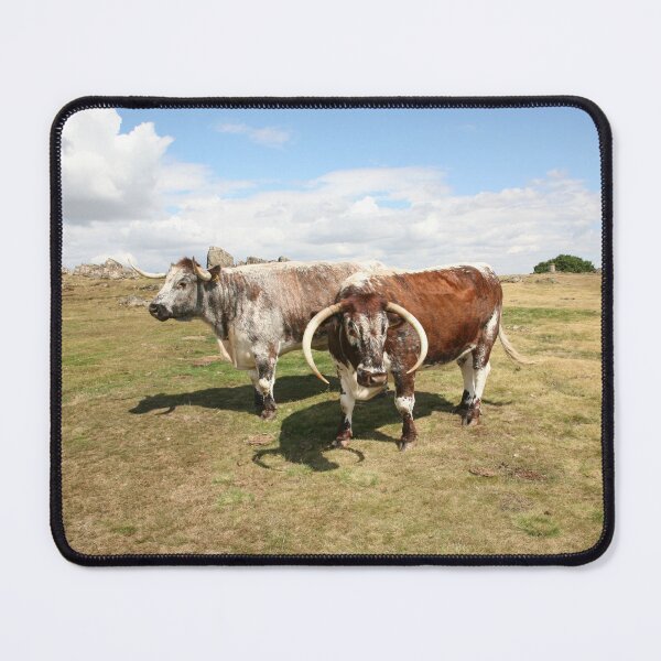 Item preview, english longhorn cattle designed and sold by markspics.