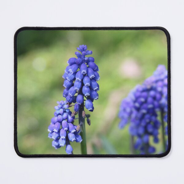 Item preview, Blue Flowers 1 designed and sold by AustaArt.