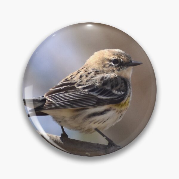 Item preview, Yellow rumped Warbler designed and sold by Tonia Delozier's Photography .