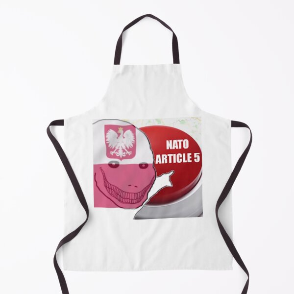 Item preview, NATO ARTICLE 5 | Meme | Poland | War designed and sold by Kostefsky.
