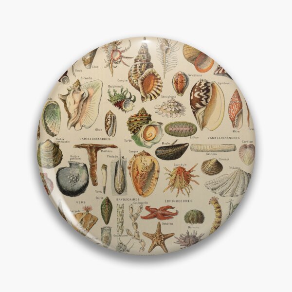 Item preview, Mollusques Pour Tous - Adolphe Millot designed and sold by starrylite.