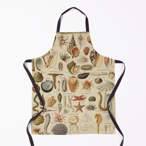 Item preview, Mollusques Pour Tous - Adolphe Millot designed and sold by starrylite.