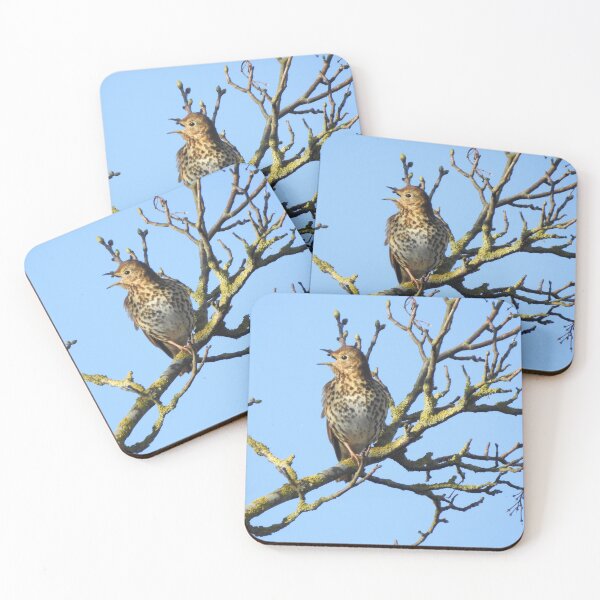 Item preview, Song Thrush singing on a bare branch designed and sold by TwistedClassics.