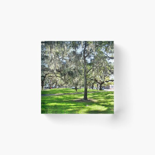 Item preview, Emmet Park in Savannah Georgia designed and sold by LisaWootenPhoto.