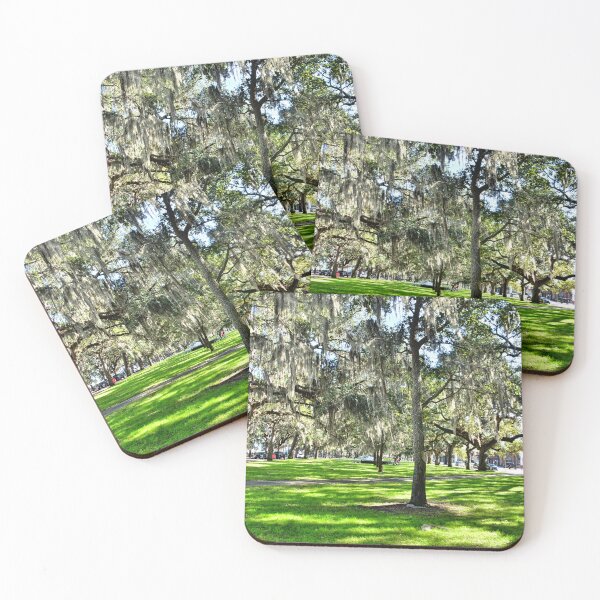 Item preview, Emmet Park in Savannah Georgia designed and sold by LisaWootenPhoto.