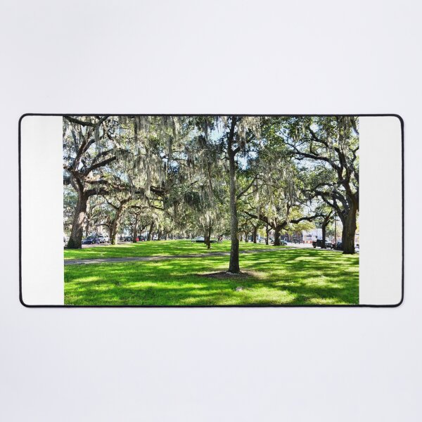 Item preview, Emmet Park in Savannah Georgia designed and sold by LisaWootenPhoto.