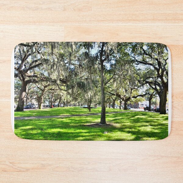 Aperçu de l'œuvre Emmet Park à Savannah en Géorgie créée et vendue par LisaWootenPhoto.