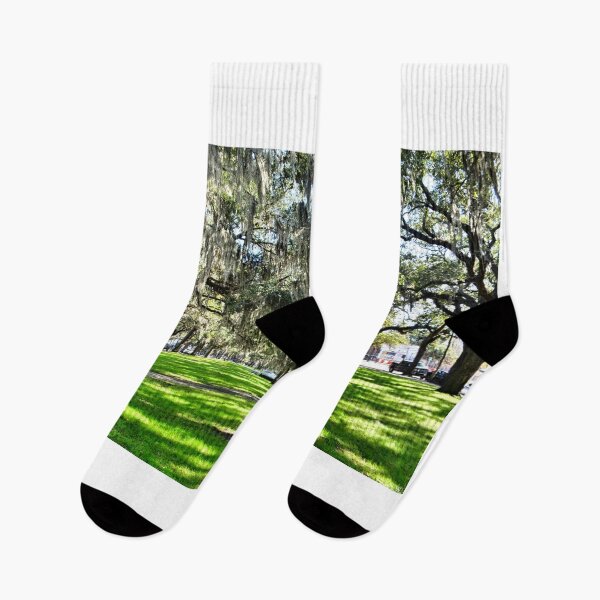 Item preview, Emmet Park in Savannah Georgia designed and sold by LisaWootenPhoto.