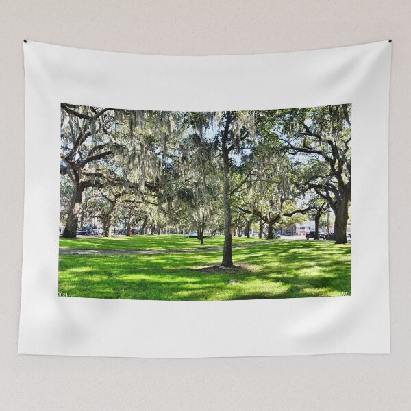 Aperçu de l'œuvre Emmet Park à Savannah en Géorgie créée et vendue par LisaWootenPhoto.