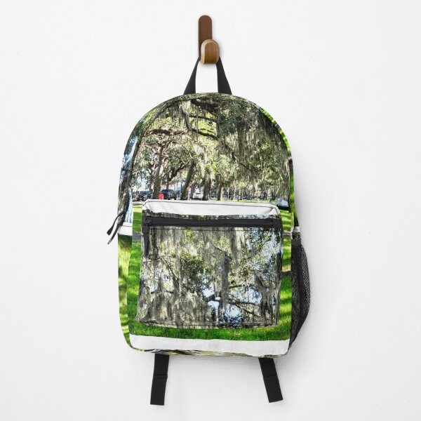 Item preview, Emmet Park in Savannah Georgia designed and sold by LisaWootenPhoto.