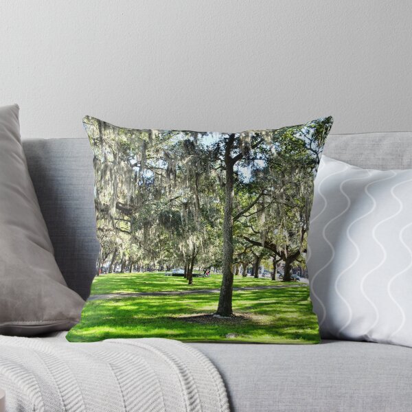 Artikelvorschau, Emmet Park in Savannah, Georgia entworfen und verkauft von LisaWootenPhoto.