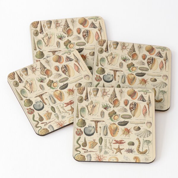 Item preview, Mollusques Pour Tous - Adolphe Millot designed and sold by starrylite.