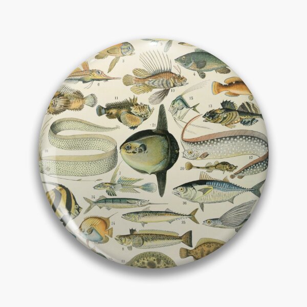 Item preview, Poissons A - Adolphe Millot designed and sold by starrylite.