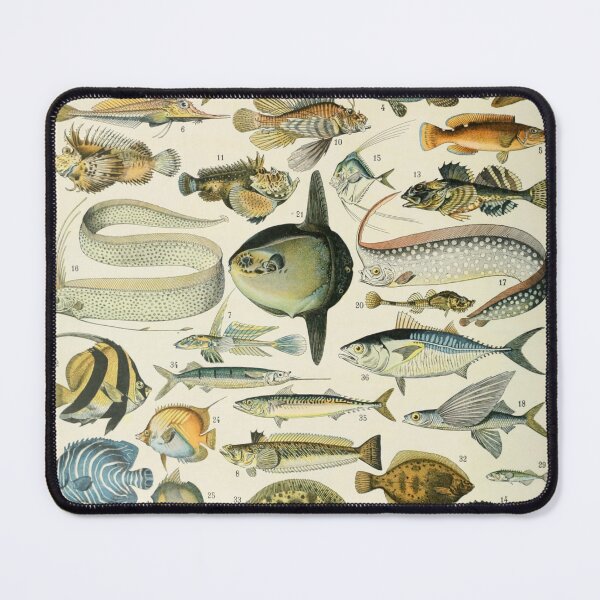 Item preview, Poissons A - Adolphe Millot designed and sold by starrylite.