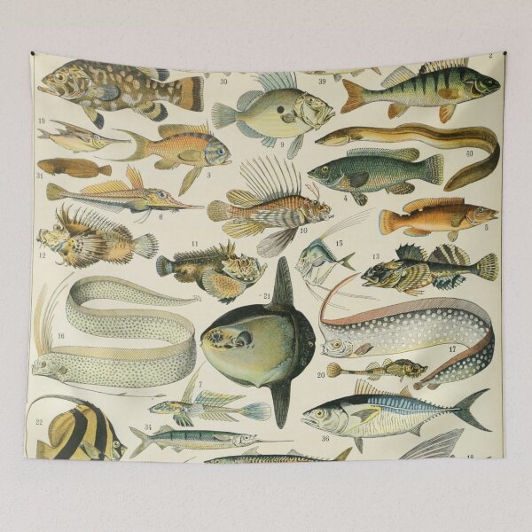 Item preview, Poissons A - Adolphe Millot designed and sold by starrylite.