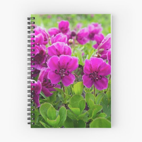 Item preview, Beauty purple flowers Rhododendron camtschaticum designed and sold by Alexander Piragis.