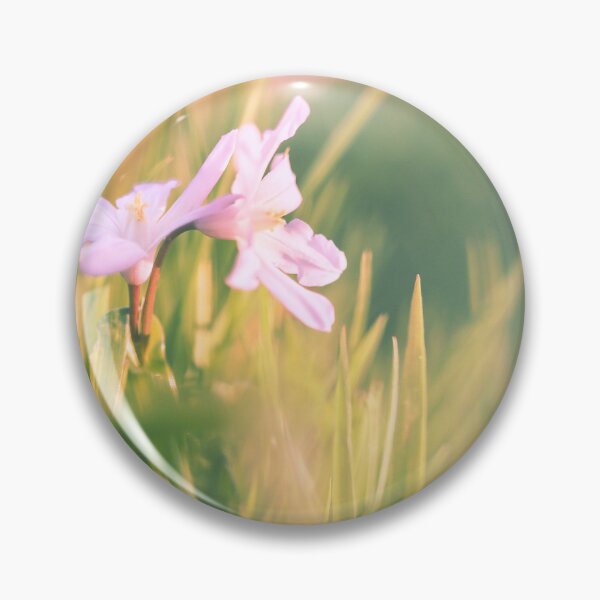 Item preview, Looking - A View   F2.8 - Broken Glass  designed and sold by Carl Gaynor.