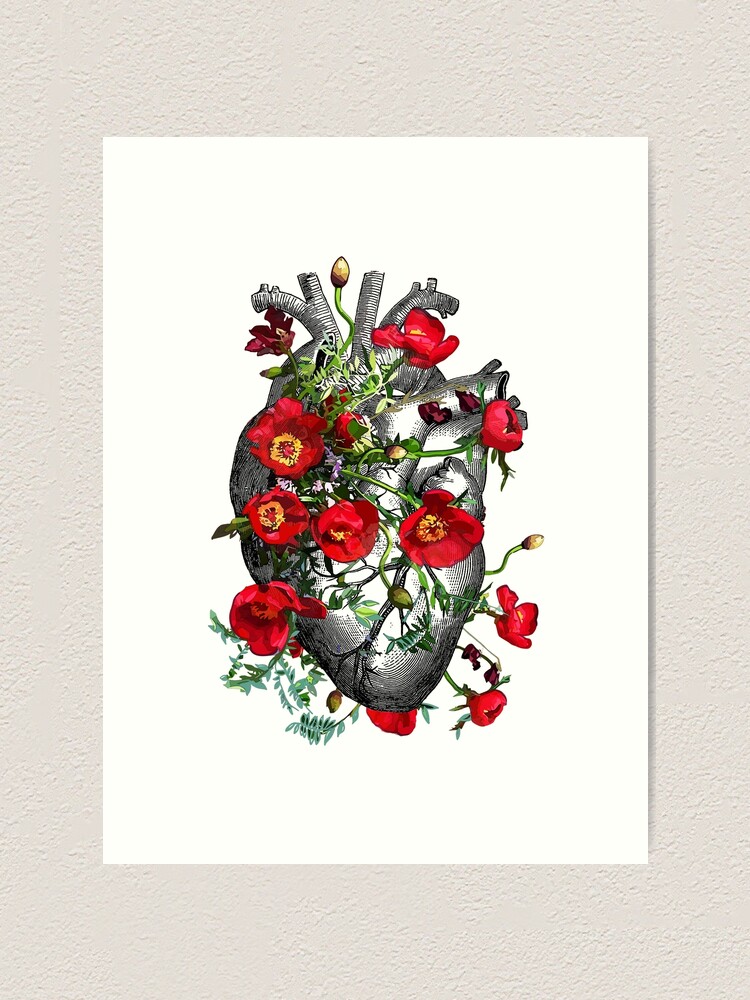 Lámina artística «Anatomía floral de un corazón con anémonas de flores rojas,  arte floral del corazón» de Collagedream | Redbubble